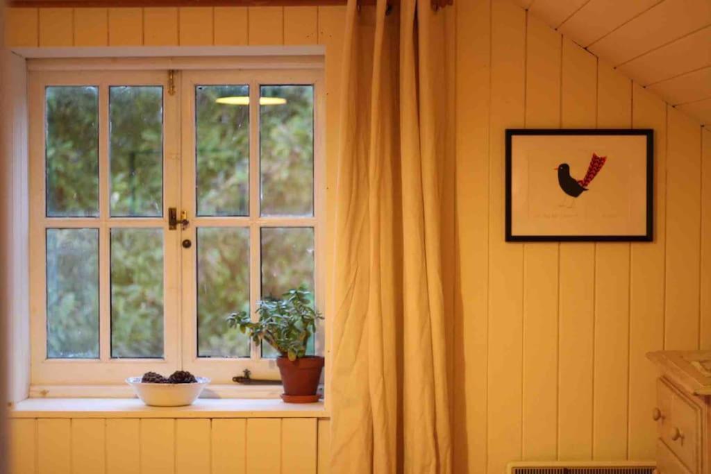Godmanstone Trinity Annexe An Adorable First Floor Light And Lofty Space Within An Aonb المظهر الخارجي الصورة