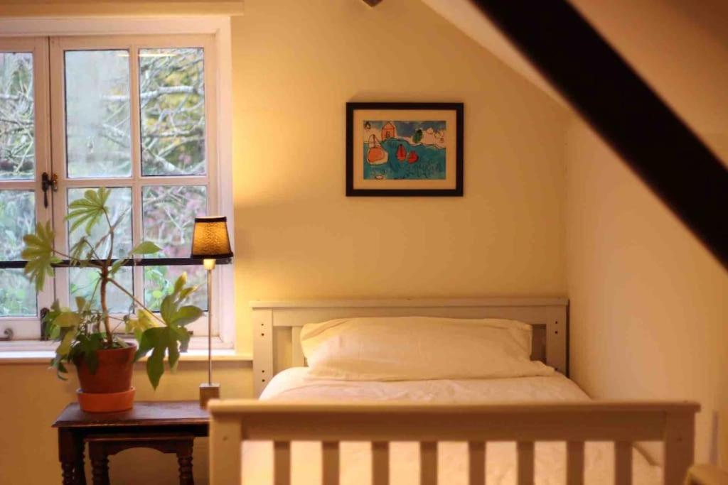 Godmanstone Trinity Annexe An Adorable First Floor Light And Lofty Space Within An Aonb المظهر الخارجي الصورة